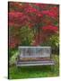 Garden Bench and Japanese Maple Tree, Steamboat Inn, Oregon, USA-Jaynes Gallery-Stretched Canvas