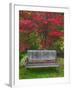 Garden Bench and Japanese Maple Tree, Steamboat Inn, Oregon, USA-Jaynes Gallery-Framed Premium Photographic Print