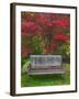 Garden Bench and Japanese Maple Tree, Steamboat Inn, Oregon, USA-Jaynes Gallery-Framed Premium Photographic Print