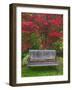 Garden Bench and Japanese Maple Tree, Steamboat Inn, Oregon, USA-Jaynes Gallery-Framed Photographic Print