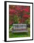 Garden Bench and Japanese Maple Tree, Steamboat Inn, Oregon, USA-Jaynes Gallery-Framed Photographic Print