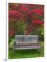 Garden Bench and Japanese Maple Tree, Steamboat Inn, Oregon, USA-Jaynes Gallery-Framed Photographic Print