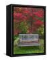 Garden Bench and Japanese Maple Tree, Steamboat Inn, Oregon, USA-Jaynes Gallery-Framed Stretched Canvas
