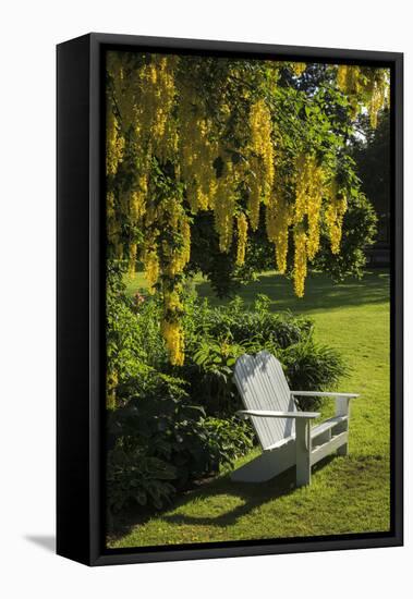 Garden Bench, Schreiner's Iris Gardens, Keizer, Oregon, USA-Rick A. Brown-Framed Stretched Canvas