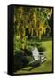 Garden Bench, Schreiner's Iris Gardens, Keizer, Oregon, USA-Rick A. Brown-Framed Stretched Canvas