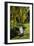 Garden Bench, Schreiner's Iris Gardens, Keizer, Oregon, USA-Rick A. Brown-Framed Photographic Print
