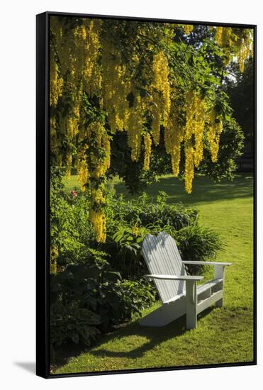 Garden Bench, Schreiner's Iris Gardens, Keizer, Oregon, USA-Rick A. Brown-Framed Stretched Canvas