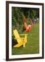 Garden Bench, Schreiner's Iris Gardens, Keizer, Oregon, USA-Rick A. Brown-Framed Photographic Print
