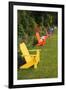 Garden Bench, Schreiner's Iris Gardens, Keizer, Oregon, USA-Rick A. Brown-Framed Photographic Print