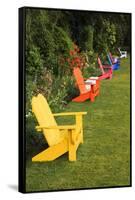 Garden Bench, Schreiner's Iris Gardens, Keizer, Oregon, USA-Rick A. Brown-Framed Stretched Canvas