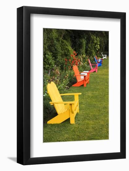 Garden Bench, Schreiner's Iris Gardens, Keizer, Oregon, USA-Rick A. Brown-Framed Photographic Print