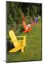 Garden Bench, Schreiner's Iris Gardens, Keizer, Oregon, USA-Rick A. Brown-Mounted Photographic Print