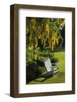 Garden Bench, Schreiner's Iris Gardens, Keizer, Oregon, USA-Rick A. Brown-Framed Photographic Print