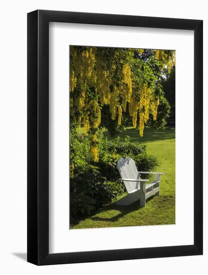 Garden Bench, Schreiner's Iris Gardens, Keizer, Oregon, USA-Rick A. Brown-Framed Photographic Print