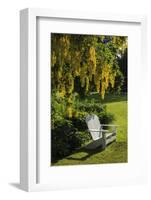 Garden Bench, Schreiner's Iris Gardens, Keizer, Oregon, USA-Rick A. Brown-Framed Photographic Print