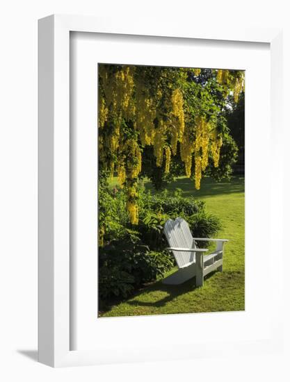 Garden Bench, Schreiner's Iris Gardens, Keizer, Oregon, USA-Rick A. Brown-Framed Photographic Print