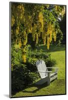 Garden Bench, Schreiner's Iris Gardens, Keizer, Oregon, USA-Rick A. Brown-Mounted Photographic Print