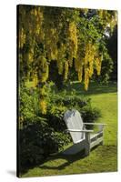 Garden Bench, Schreiner's Iris Gardens, Keizer, Oregon, USA-Rick A. Brown-Stretched Canvas