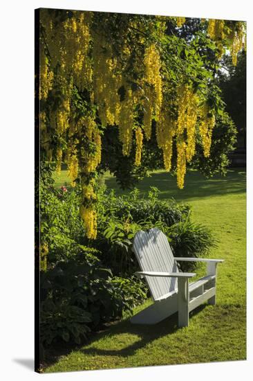 Garden Bench, Schreiner's Iris Gardens, Keizer, Oregon, USA-Rick A. Brown-Stretched Canvas