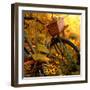 Garden Bike-Bruce Nawrocke-Framed Photographic Print