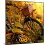 Garden Bike-Bruce Nawrocke-Mounted Photographic Print