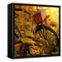 Garden Bike-Bruce Nawrocke-Framed Stretched Canvas