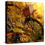 Garden Bike-Bruce Nawrocke-Stretched Canvas