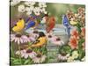 Garden Birdbath-William Vanderdasson-Stretched Canvas