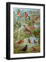 Garden Birds, 2006-Alex Williams-Framed Giclee Print