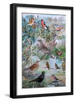 Garden Birds, 2007-Alex Williams-Framed Giclee Print