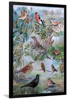 Garden Birds, 2007-Alex Williams-Framed Giclee Print