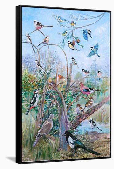 Garden Birds, 2007-Alex Williams-Framed Stretched Canvas