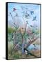 Garden Birds, 2007-Alex Williams-Framed Stretched Canvas