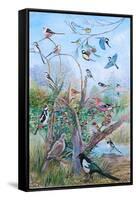 Garden Birds, 2007-Alex Williams-Framed Stretched Canvas