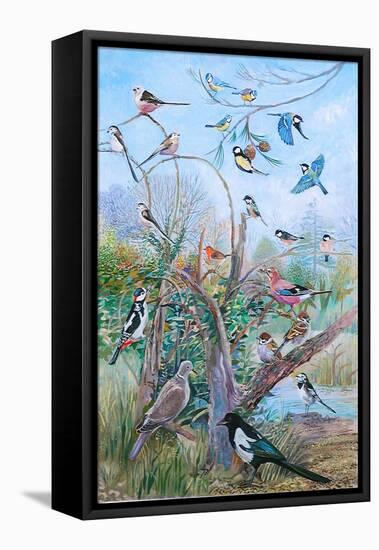 Garden Birds, 2007-Alex Williams-Framed Stretched Canvas