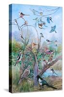Garden Birds, 2007-Alex Williams-Stretched Canvas
