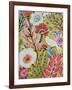 Garden Birds II-Karen Fields-Framed Art Print