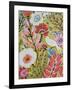 Garden Birds II-Karen Fields-Framed Art Print