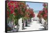 Garden Bloom, Villa Rufulo, Ravello, Italy-George Oze-Framed Stretched Canvas