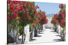 Garden Bloom, Villa Rufulo, Ravello, Italy-George Oze-Stretched Canvas