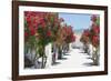 Garden Bloom, Villa Rufulo, Ravello, Italy-George Oze-Framed Photographic Print