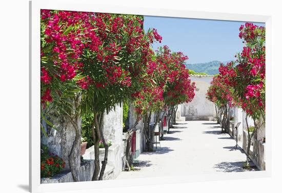 Garden Bloom, Villa Rufulo, Ravello, Italy-George Oze-Framed Photographic Print