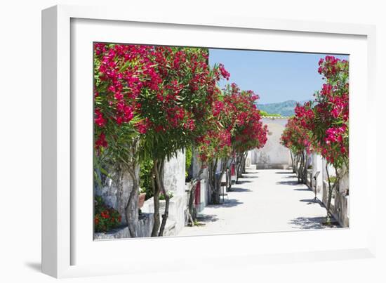 Garden Bloom, Villa Rufulo, Ravello, Italy-George Oze-Framed Photographic Print