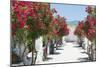 Garden Bloom, Villa Rufulo, Ravello, Italy-George Oze-Mounted Photographic Print