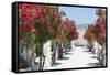 Garden Bloom, Villa Rufulo, Ravello, Italy-George Oze-Framed Stretched Canvas