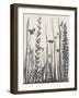 Garden Blooms 1-Doris Charest-Framed Art Print