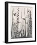 Garden Blooms 1-Doris Charest-Framed Art Print