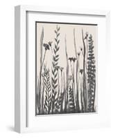 Garden Blooms 1-Doris Charest-Framed Art Print