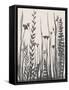 Garden Blooms 1-Doris Charest-Framed Stretched Canvas