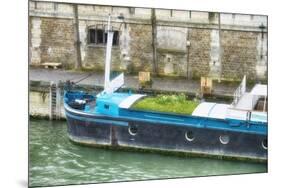 Garden Boat In The Seine River-Cora Niele-Mounted Giclee Print